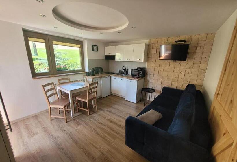 آپارتمان 1 خوابه با بالکن, Apartamenty Kadłubek