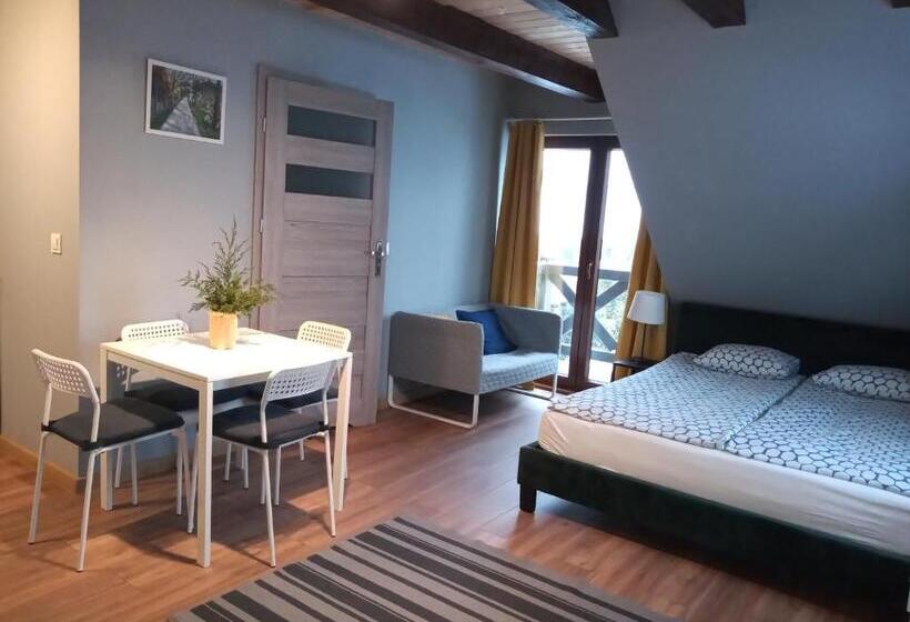 آپارتمان 1 خوابه با بالکن, Mazurska Apartamenty