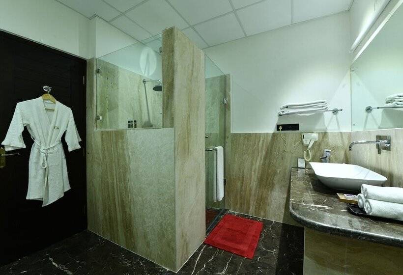 غرفة قياسية, Span Resort And Spa, Manali
