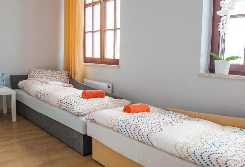 Номер Стандарт, Open Tours