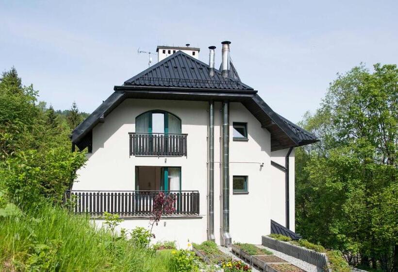 Номер Стандарт, Apartamenty Przy Hotelu żywieckim