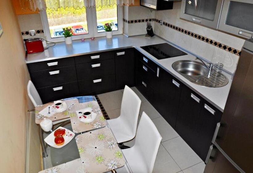 آپارتمان 1 خوابه با چشم‌انداز, Apartamenty Sobiczkowa Wyspa