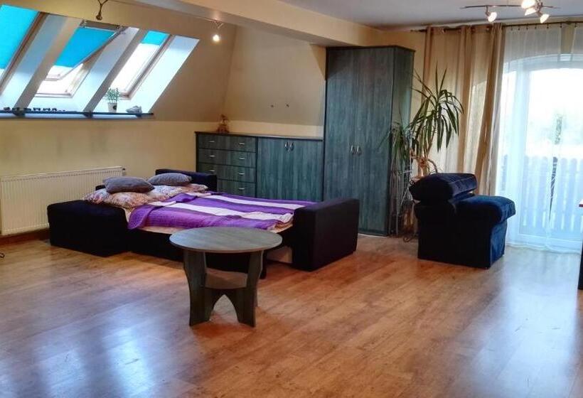 آپارتمان 1 خوابه, Hostel Zamość   Pokoje Gościnne