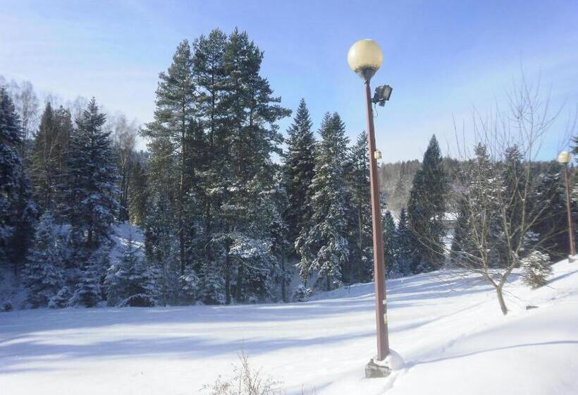 Шале 1 Спальня, Domki Bieszczady Siedlisko Harenda