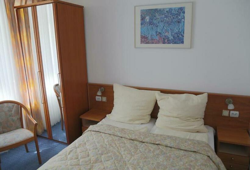 اتاق استاندارد, Willa Maksymilian Bed And Breakfast