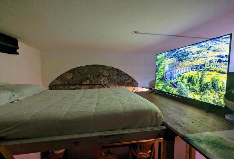 Quarto Estandar, La Adornada
