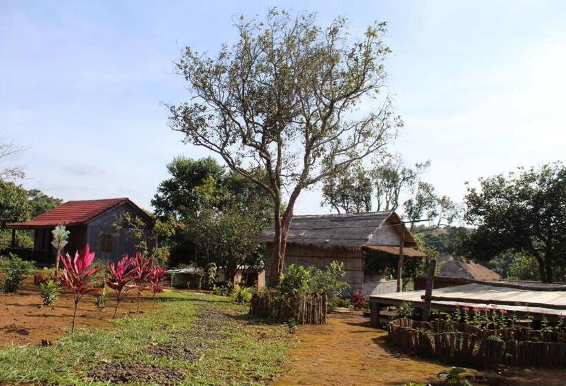 اتاق استاندارد با چشم‌انداز کوهستان, La Villa Hortensia Mondulkiri