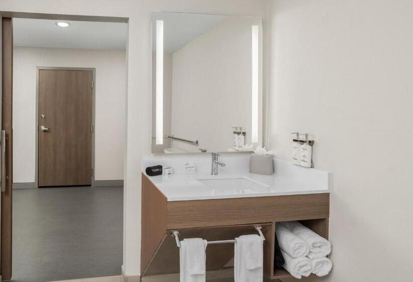 Номер Стандартный Кровать Куин, Holiday Inn Express Hattiesburg West Univ Area