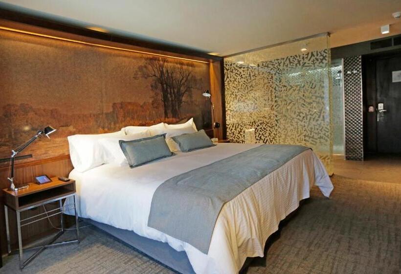 اتاق استاندارد, Cumbres Lastarria