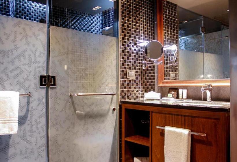 اتاق استاندارد یک نفره, Cumbres Lastarria