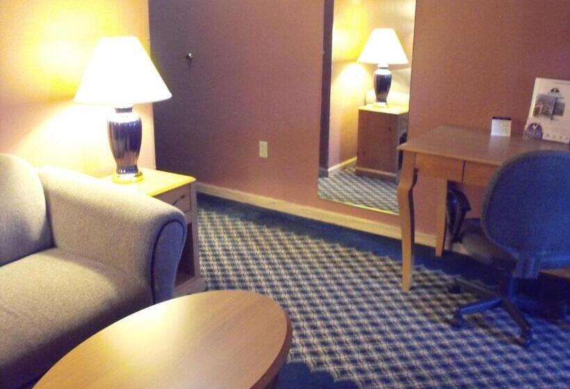 스탠다드 룸, Americas Best Value Inn Three Rivers