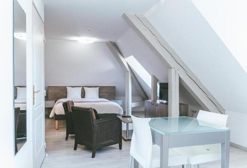 Номер Престиж, Terres De France   Appart Hotel Le Splendid