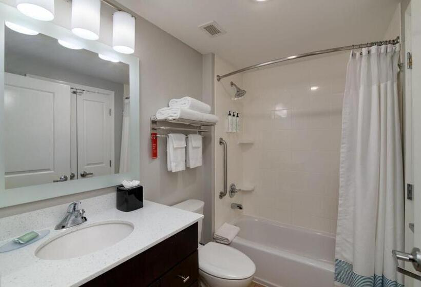 带大床的标准工作室, Towneplace Suites By Marriott Dallas Mckinney