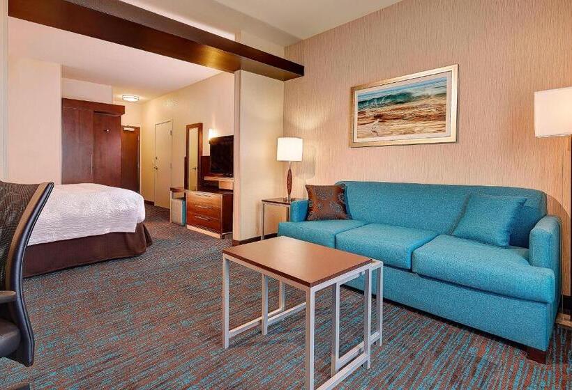 带大床的套房, Fairfield Inn & Suites By Marriott San Diego Carlsbad