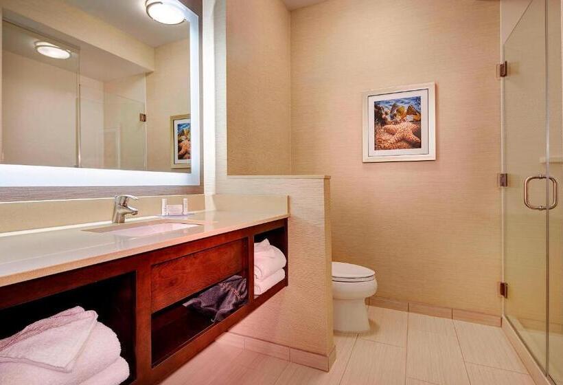 带大床的套房, Fairfield Inn & Suites By Marriott San Diego Carlsbad