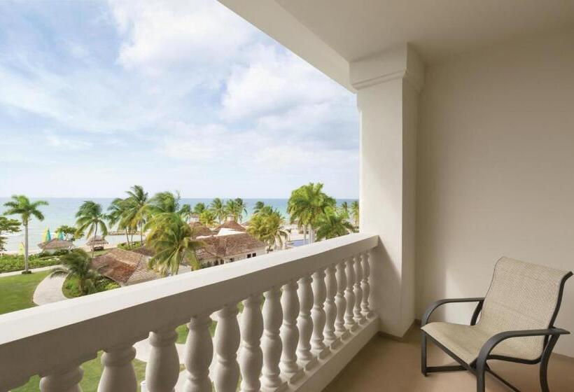 اتاق استاندارد با چشم‌انداز دریا, Hyatt Ziva Rose Hall All Inclusive