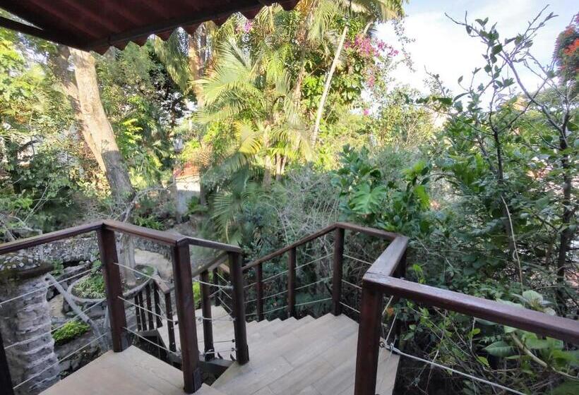 اتاق سوپریور با تخت بزرگ, La Joyita Cuernavaca