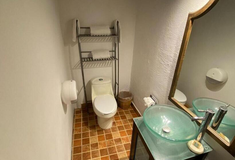 اتاق سوپریور, La Joyita Cuernavaca