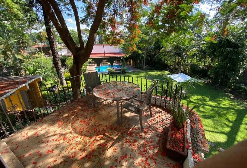 اتاق لوکس, La Joyita Cuernavaca