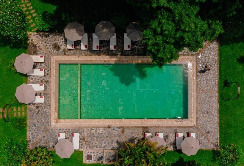 Люкс, Riverside Boutique Resort, Vang Vieng