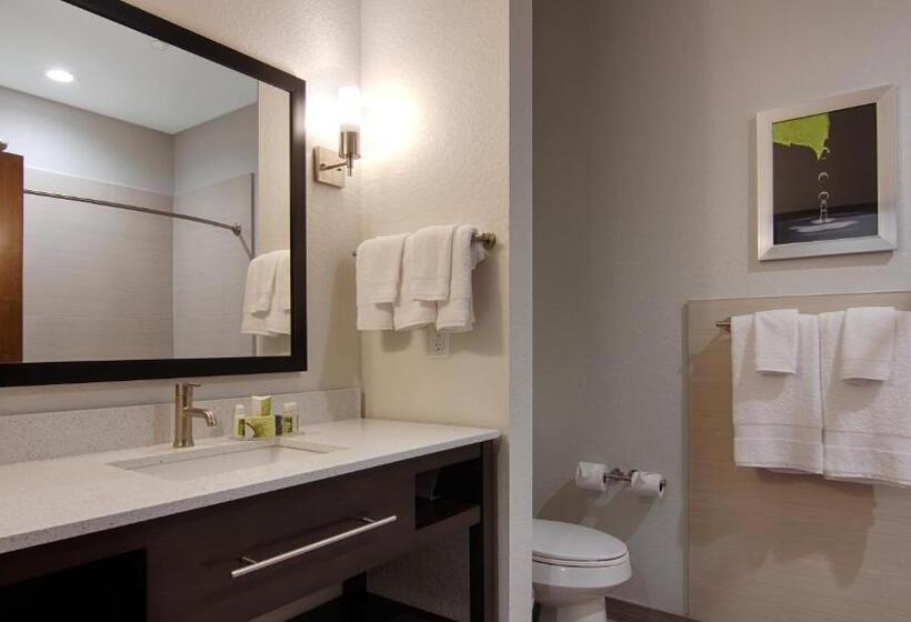 חדר סטנדרט, Best Western Plus College Station Inn & Suites