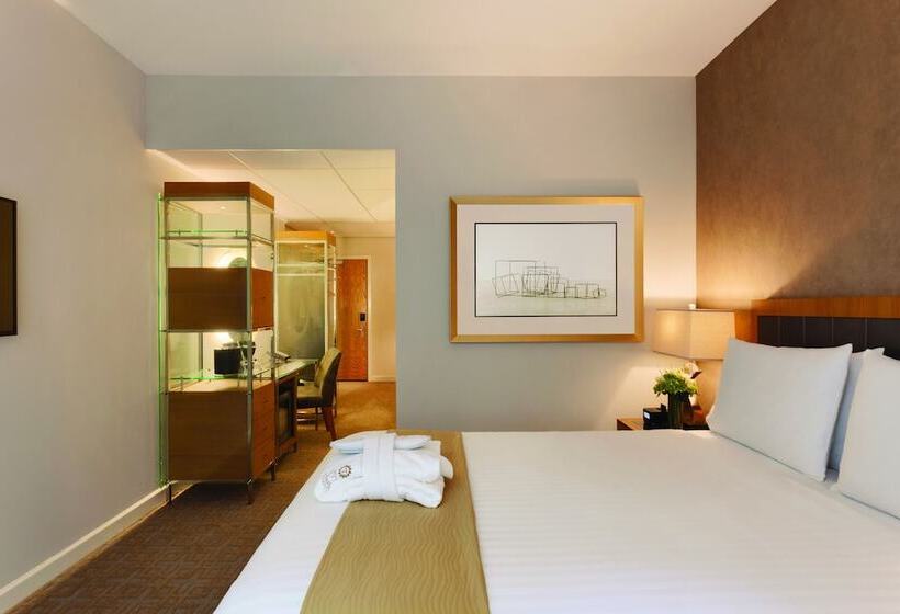 行政套房, Executive Hotel Le Soleil New York
