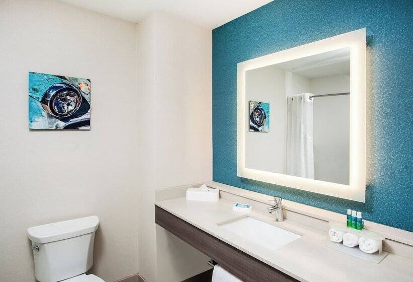 Люкс, Holiday Inn Express & Suites Litchfield, An Ihg