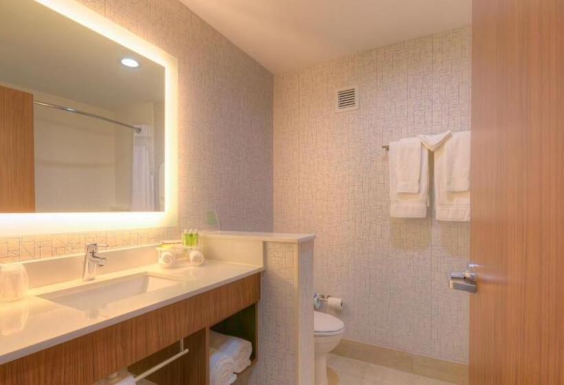 اتاق استاندارد, Holiday Inn Express & Suites Tulsa Midtown, An Ihg
