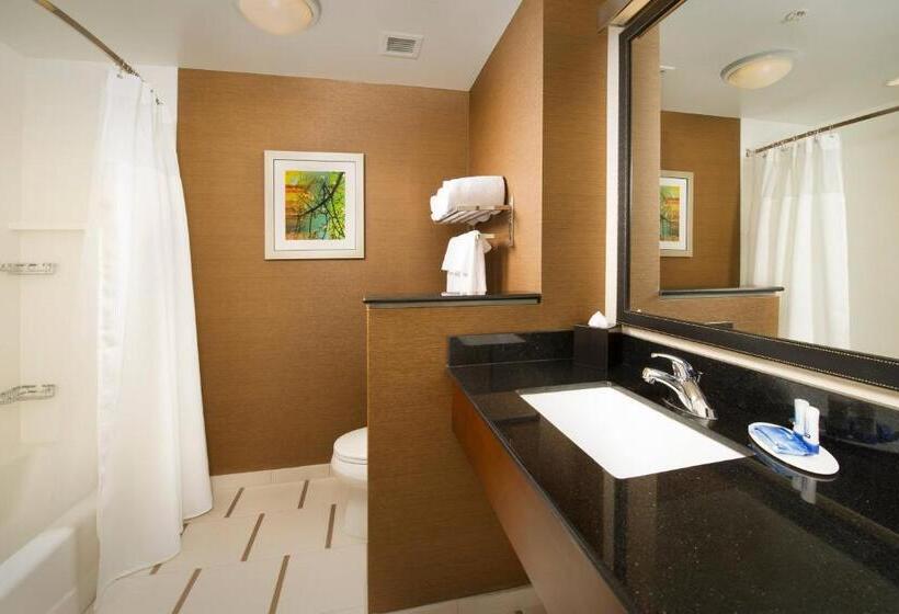 Номер Стандарт, Fairfield Inn & Suites By Marriott Arundel Mills Bwi Airport