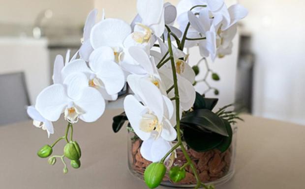 스위트, Letto Hotel Flores Da Cunha