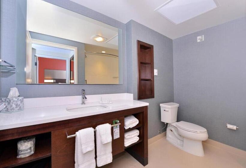 Люкс 2 Спальни, Residence Inn By Marriott East Lansing
