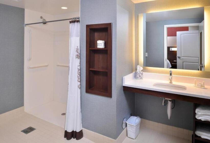 Студио Стандарт Кровать Кинг, Residence Inn By Marriott East Lansing