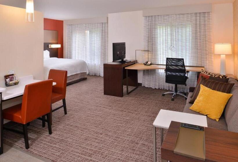 Студио Стандарт Кровать Кинг, Residence Inn By Marriott East Lansing