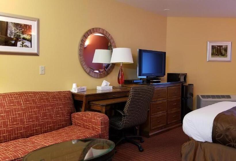 Номер Deluxe, Dew Drop Inn
