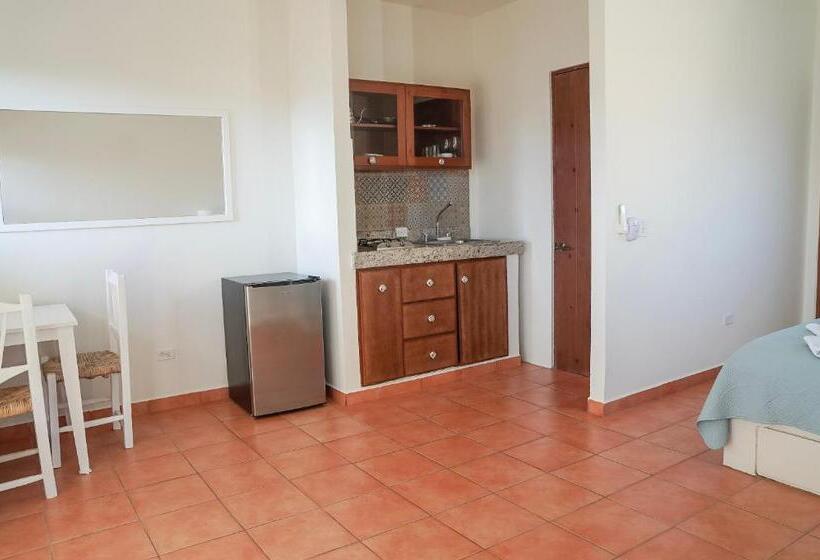 استودیوی استاندارد, Olas De Cerritos