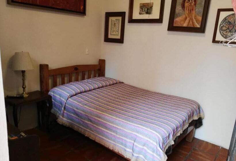 Chambre Standard Individuelle, Olga Querida B&b Hostal