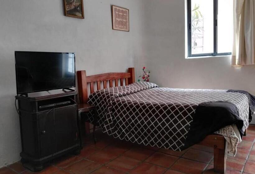 Chambre Standard, Olga Querida B&b Hostal