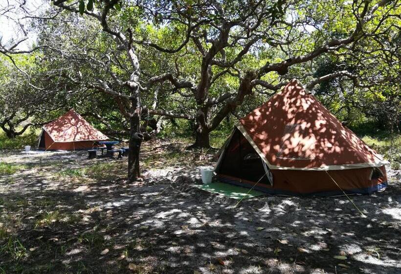 Standard Tent, Cashew Nut Bungalow, Ko Mook