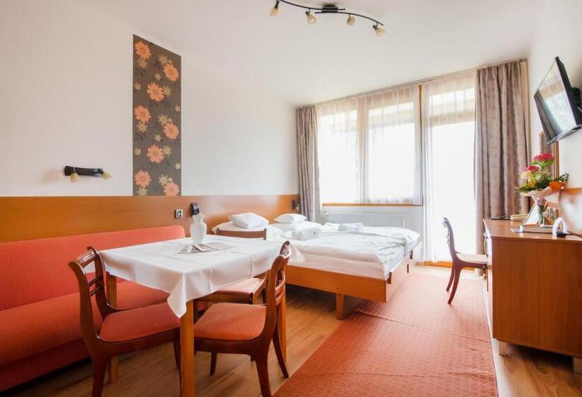 Студия Стандарт, Apartman
