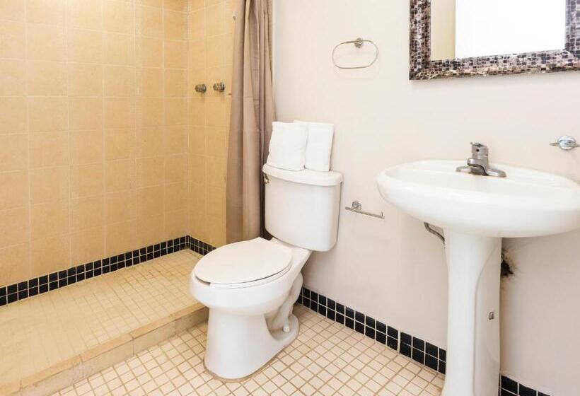 エコノミールーム, Boca Inn Hotel & Suites