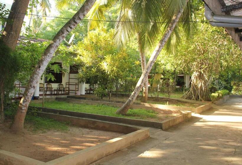 Трехместный Номер Стандарт Вид на Бассейн, Jagabay Resort & Surfing School