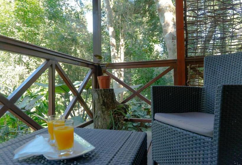 Номер Стандарт, Selva De Laurel