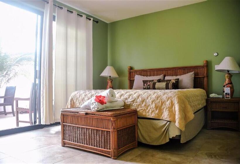 اتاق لوکس با تخت بزرگ, Cerritos Beach Inn