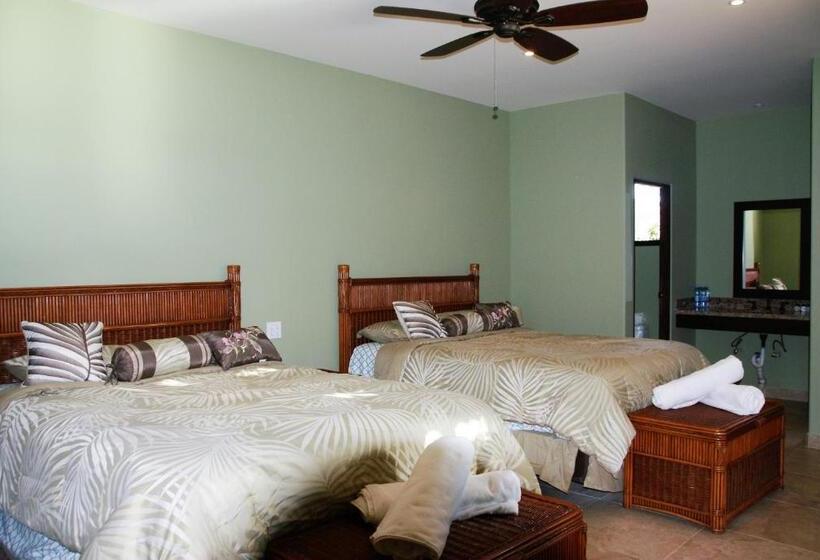 اتاق استاندارد با چشم‌انداز, Cerritos Beach Inn