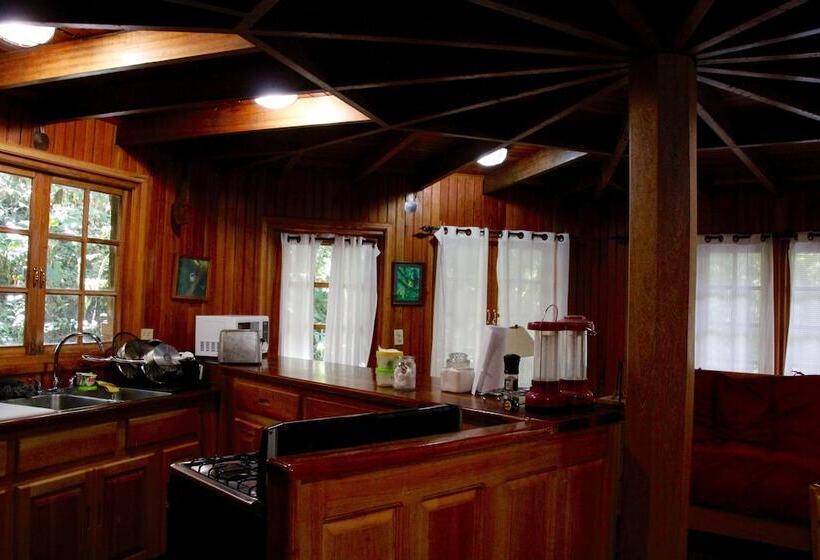 Хижина, Los Quetzales Ecolodge & Spa