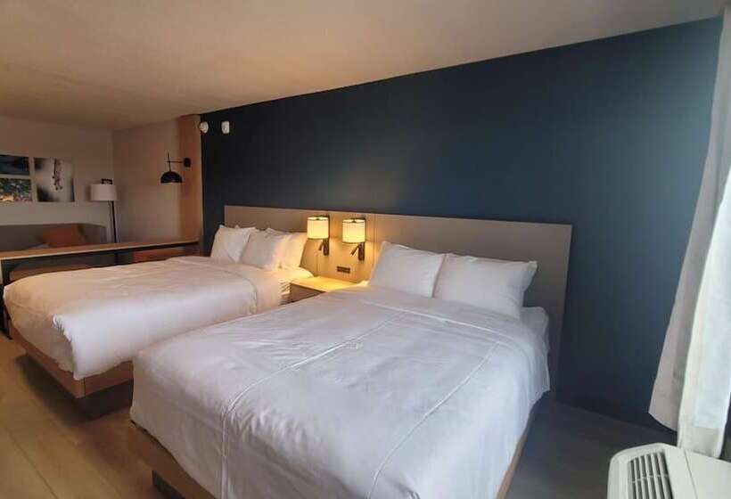 Люкс Адаптированный для Инвалидов, Comfort Suites Cheyenne