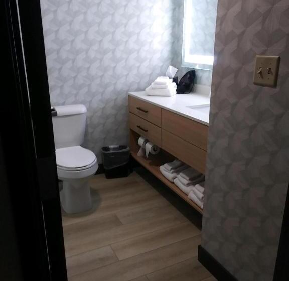 Люкс Адаптированный для Инвалидов, Comfort Suites Cheyenne