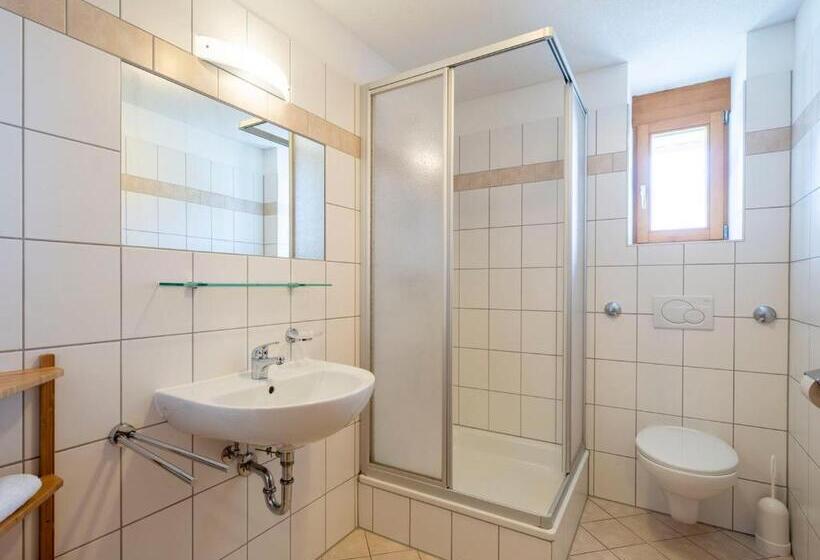 Апартаменты 1 Спальня, Landal Hochmontafon