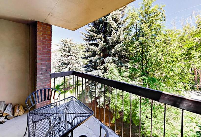 Апартаменты 2 Спальни, Park Station Condominiums 234