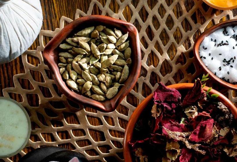 سوئیت جونیور با تخت بزرگ, Le Méridien Dhaka